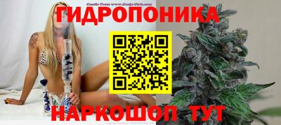 экстази Боровичи