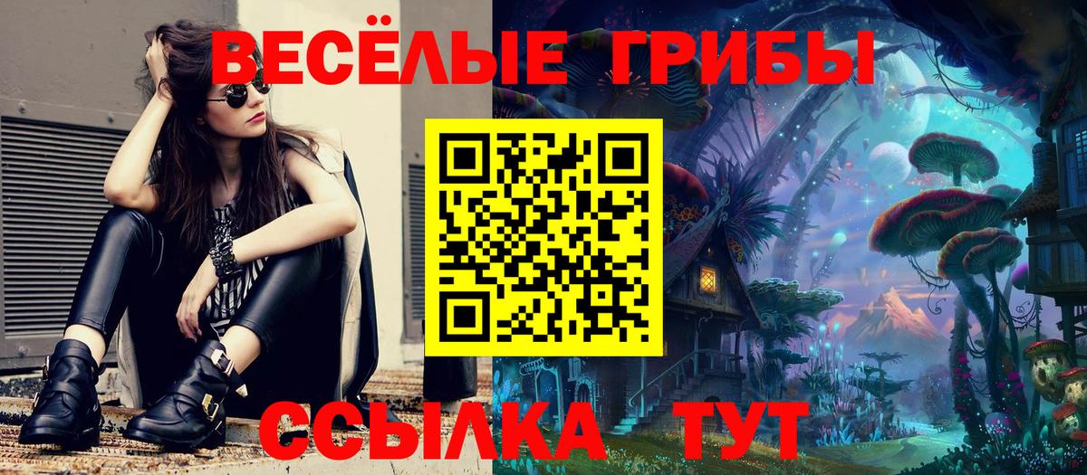 Тихорецк  Псилоцибиновые грибы Psilocybine cubensis  Вход с VPN 